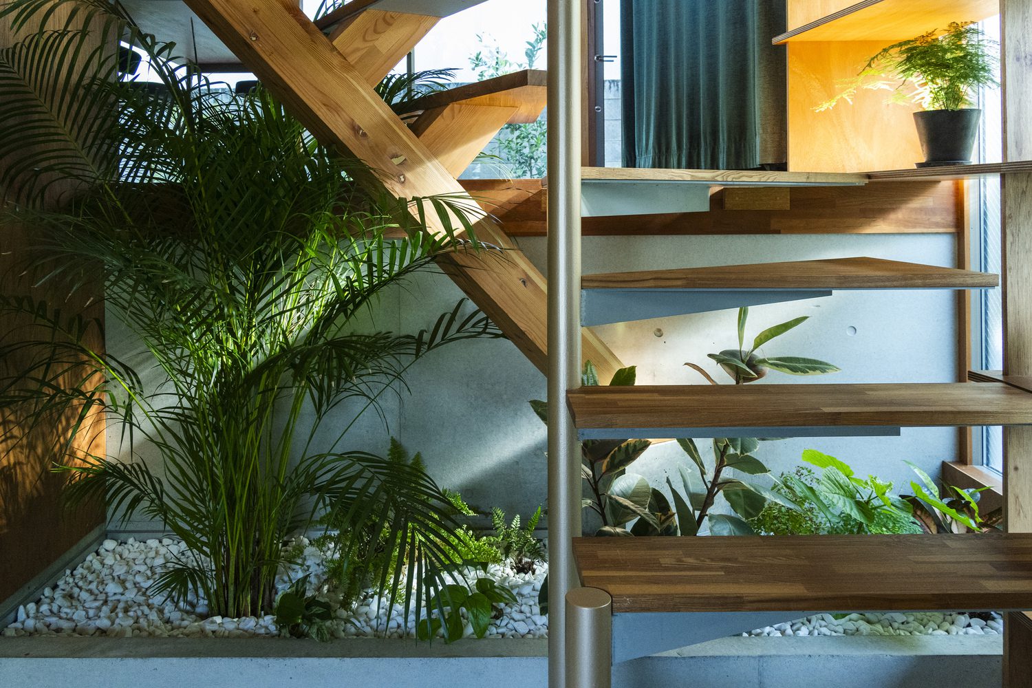 House in Nakano | HOAA