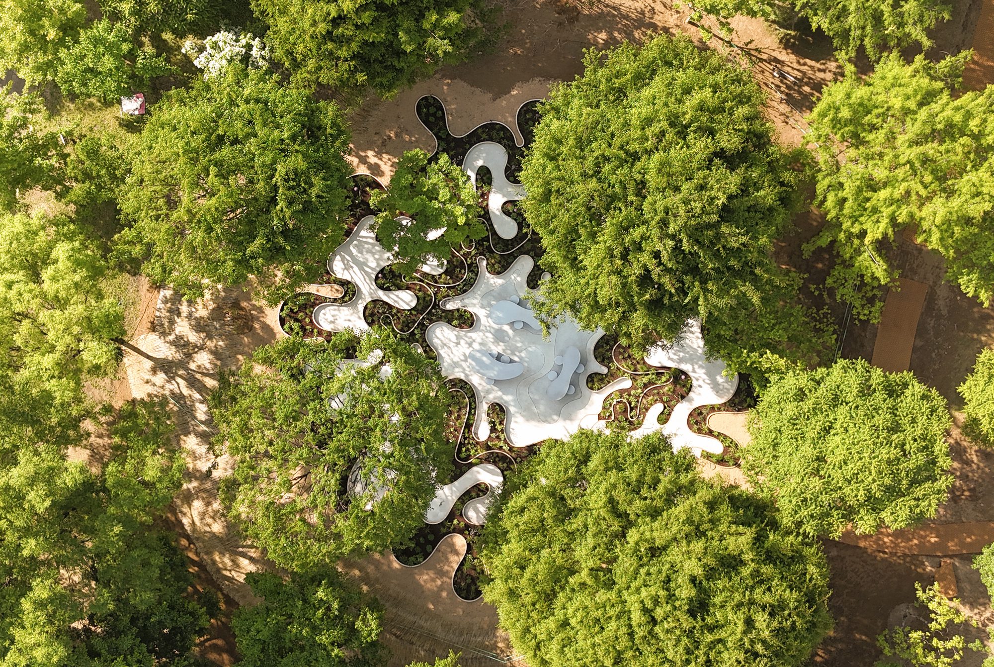 Immersive Resilience