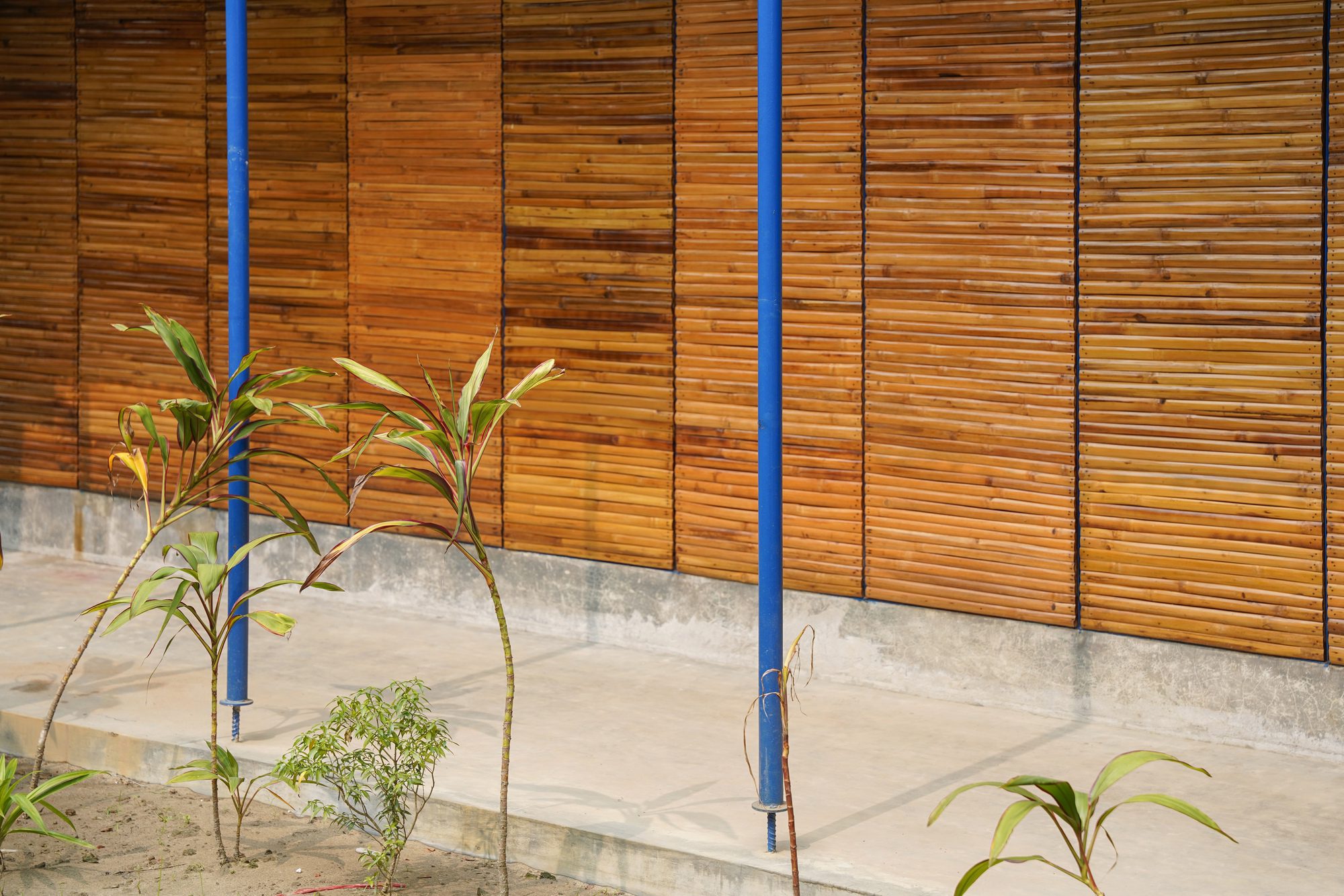 CSF Center for People With Disabilities