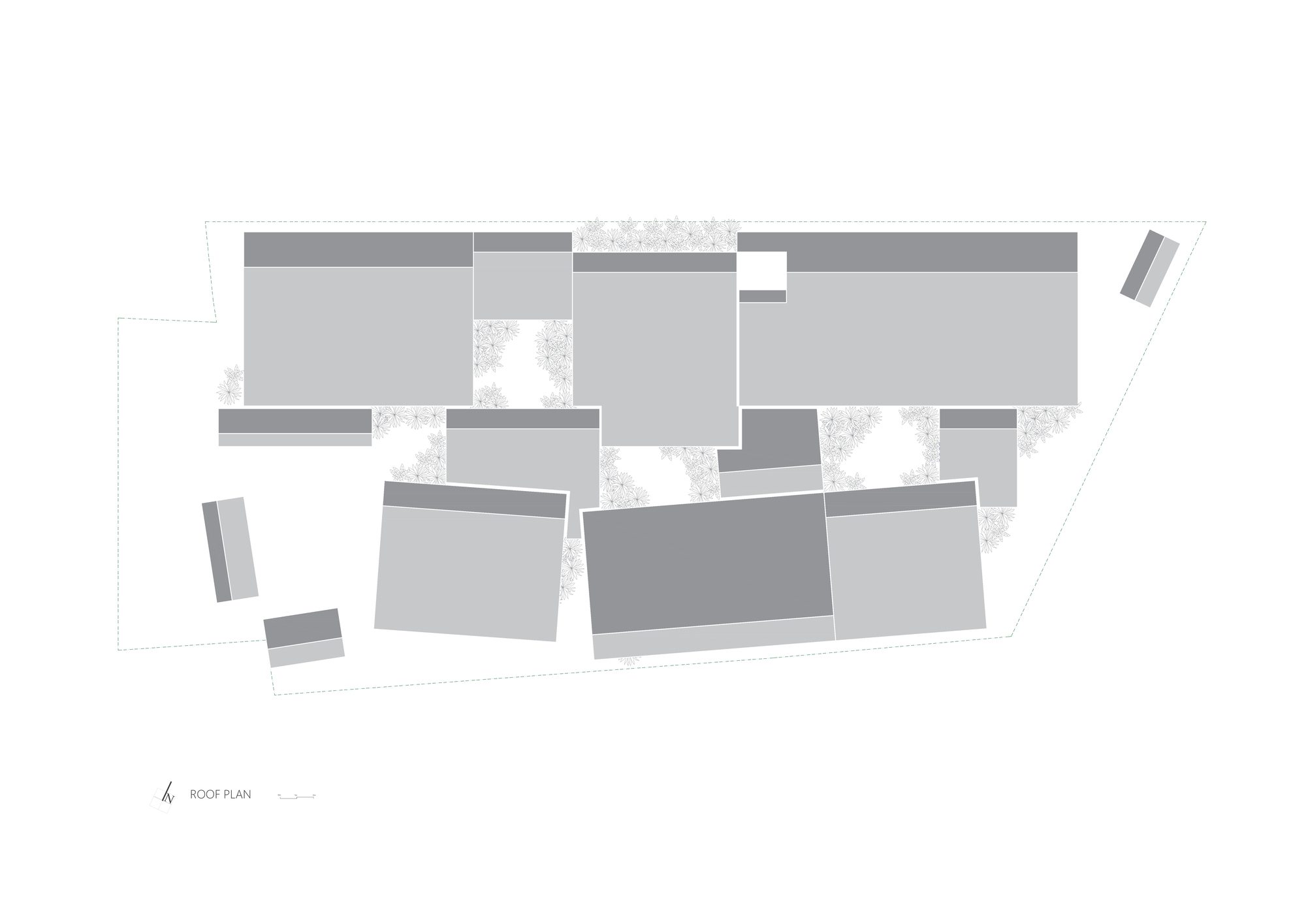 CSF Center for People With Disabilities