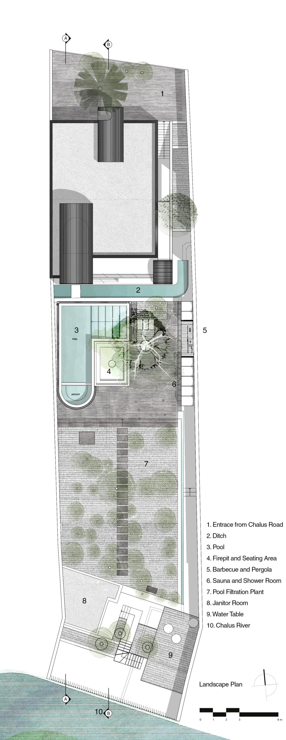 A House Looking to A Cedrus Tree