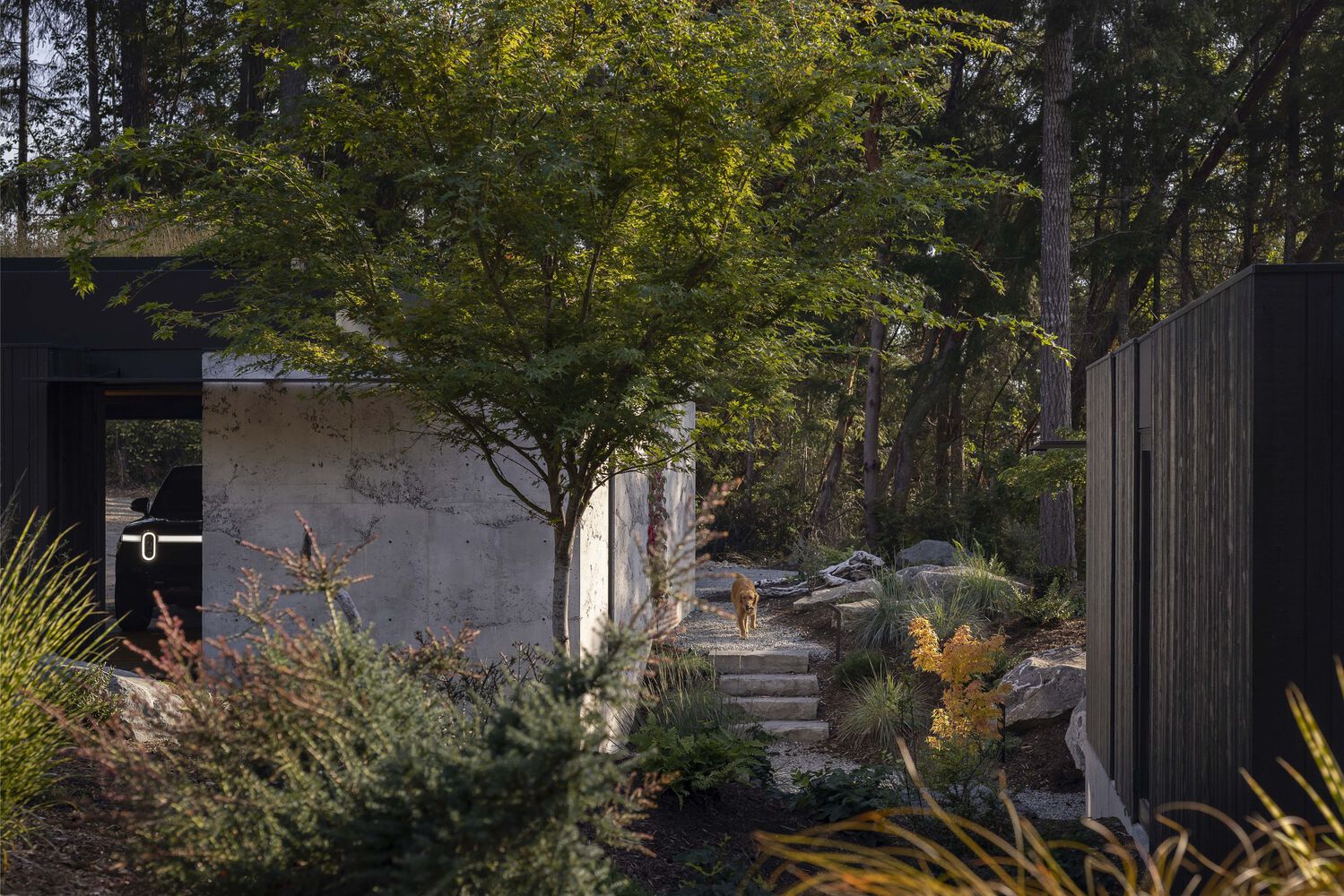 Longbranch Residence