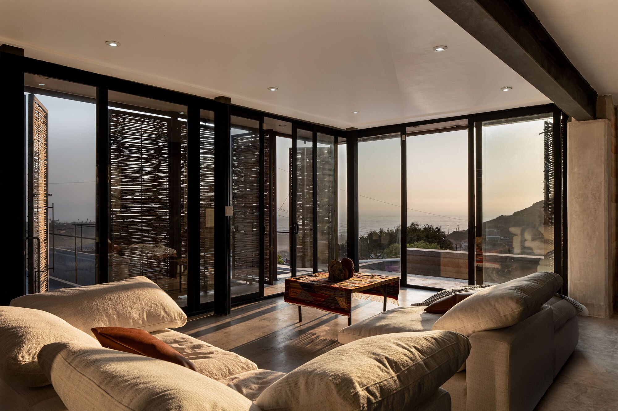 Longitudinal Section17