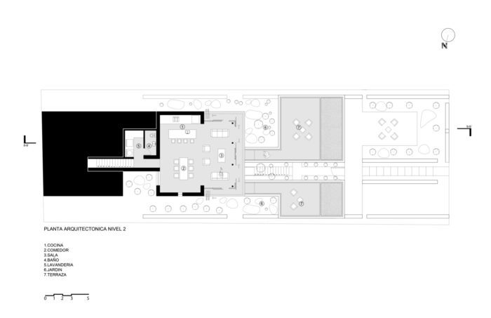 Longitudinal Section20
