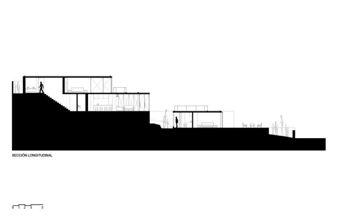 Longitudinal Section22