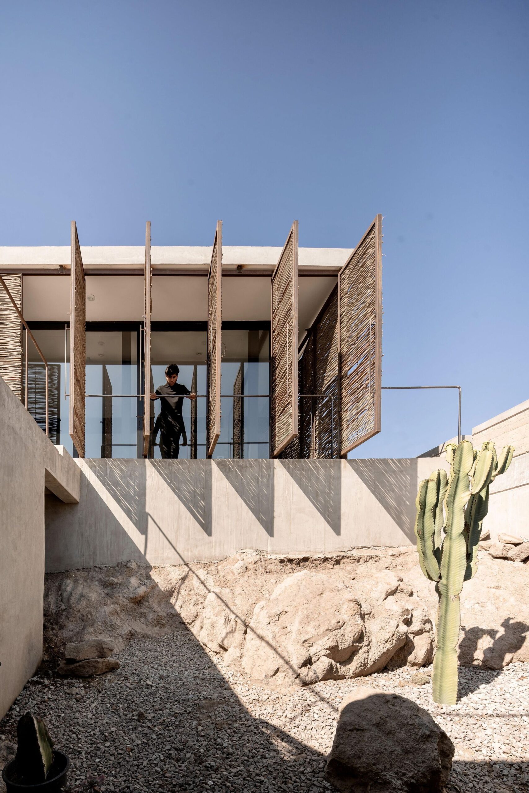 Longitudinal Section8