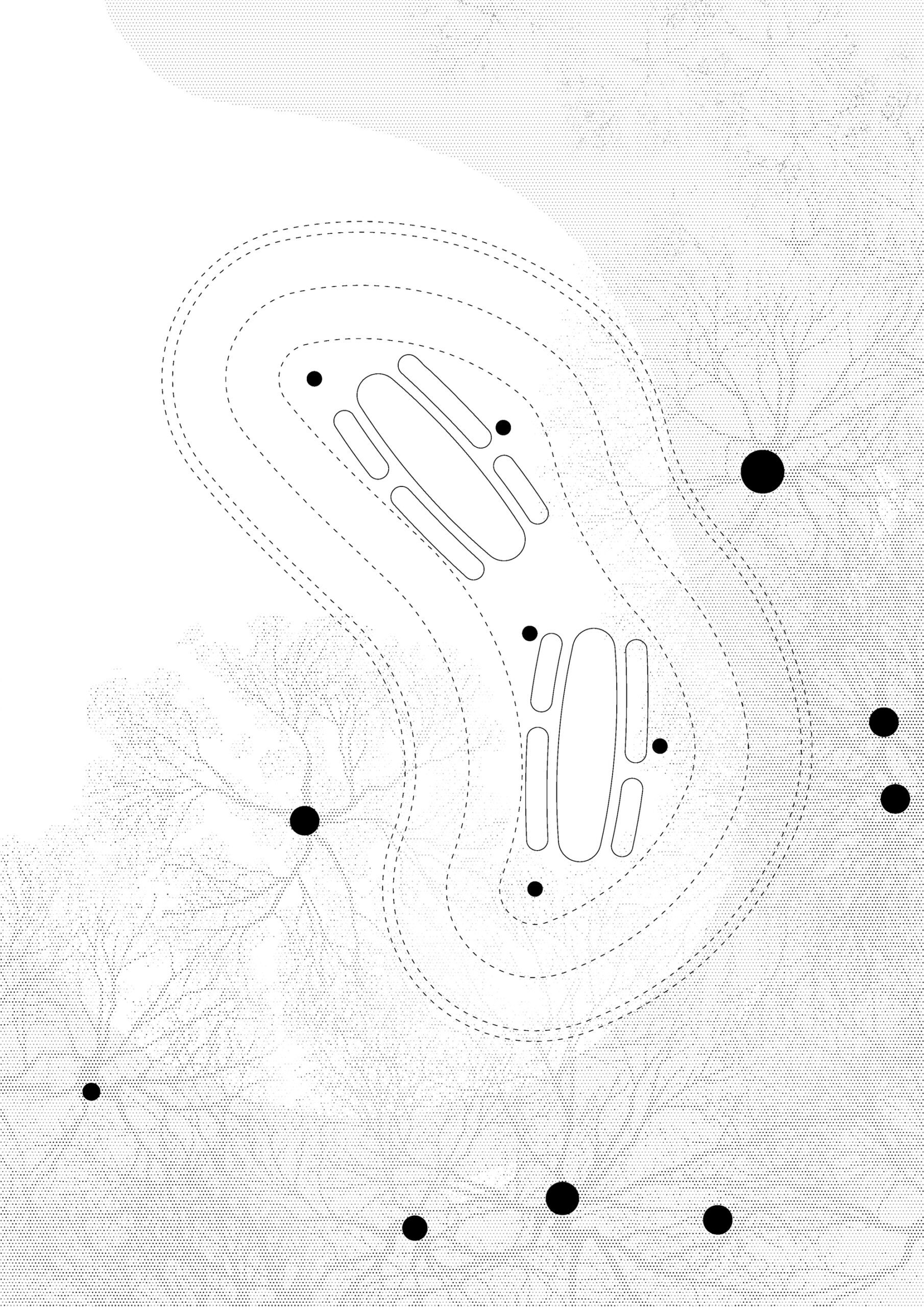 Recreational Area at the Vistula Riverside