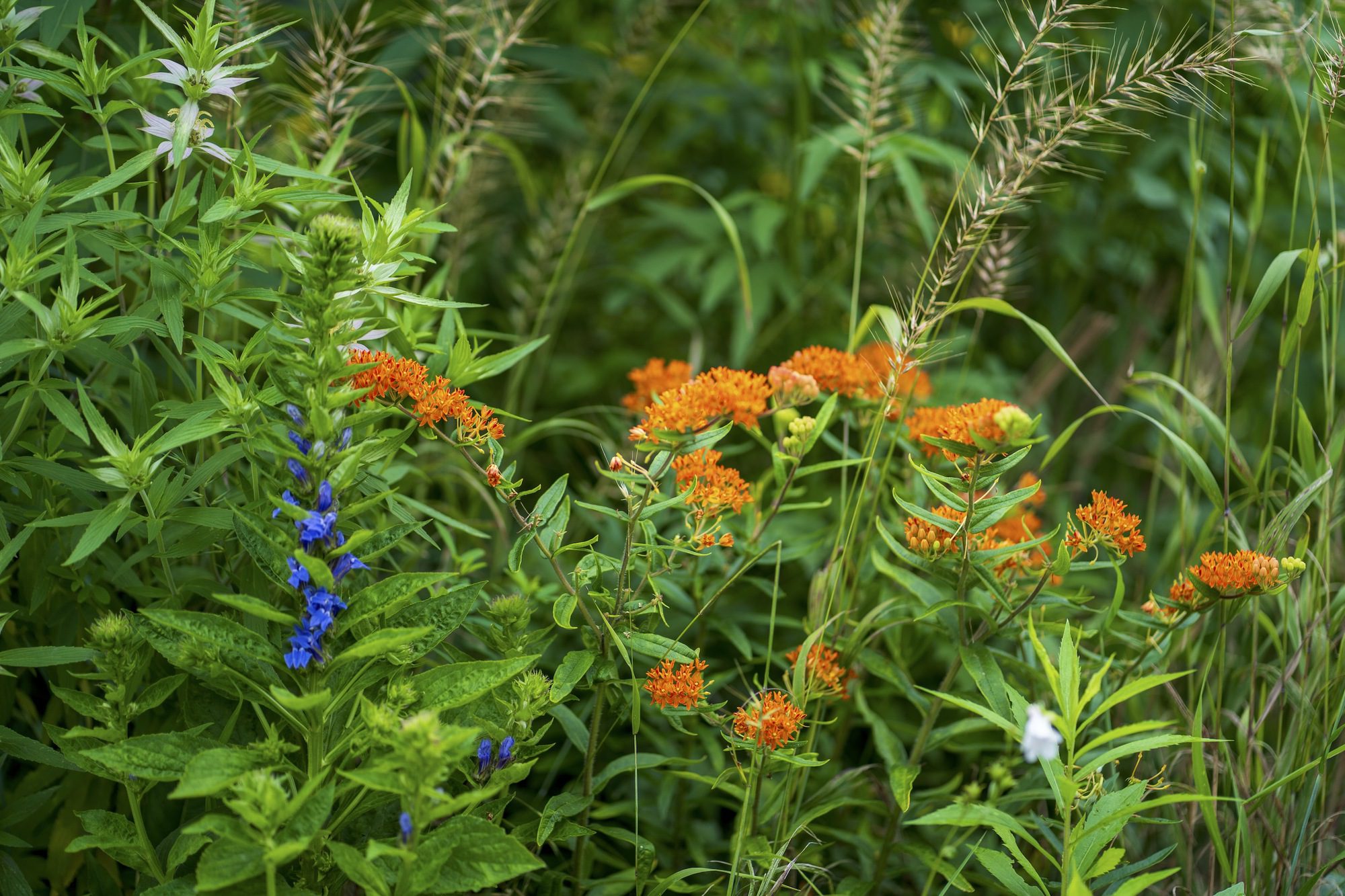 West Don Ravine Passive House