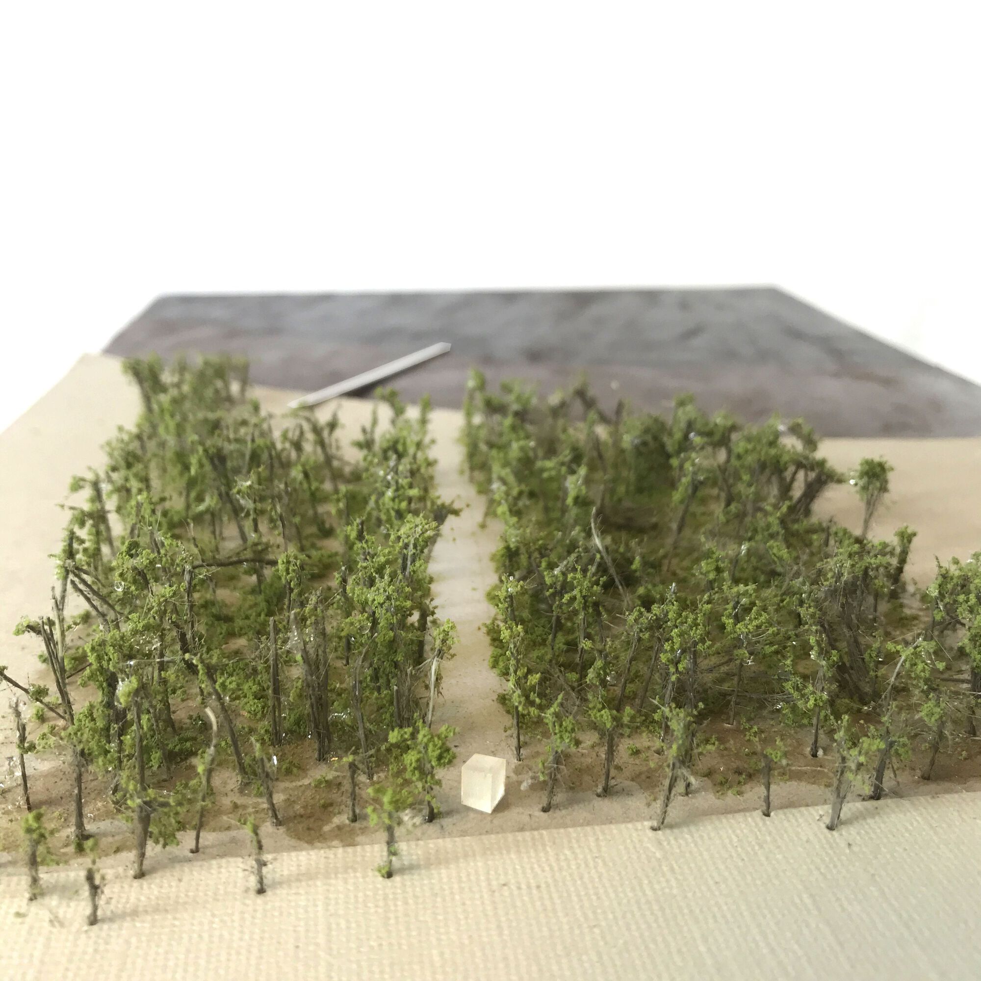 Sundshopen - Norwegian Scenic Routes