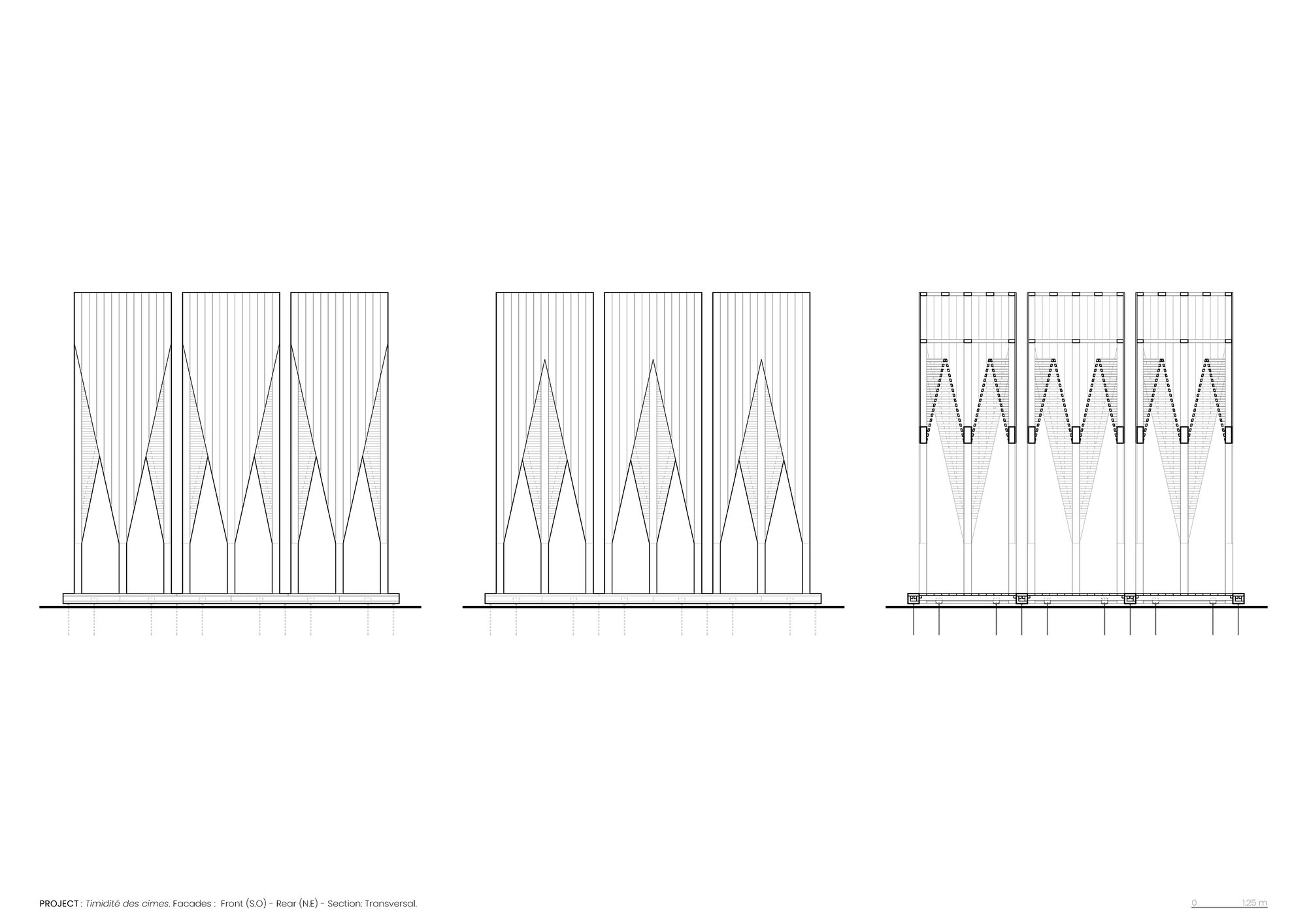 La timidité des cimes Installation