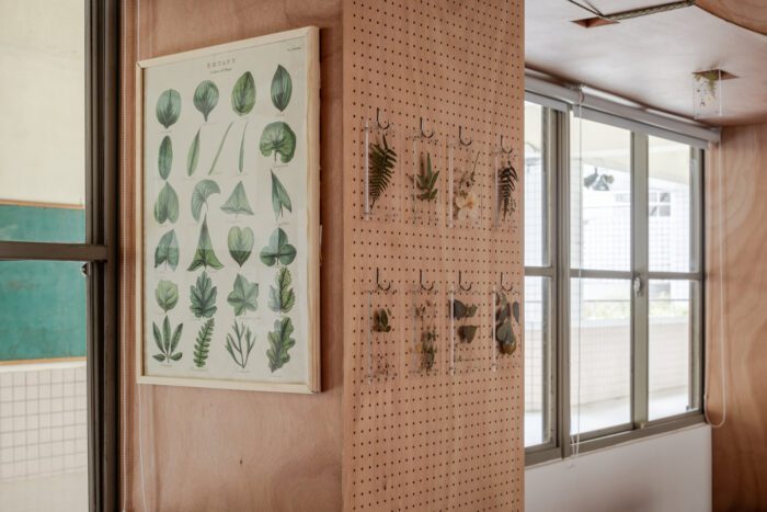 Qingshan Forest Junior High School Classroom 14