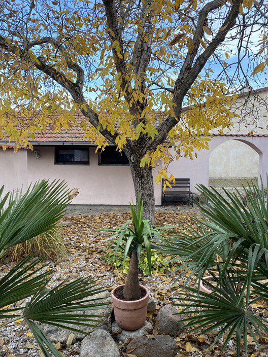 Reconstruction of a Reconstructed House