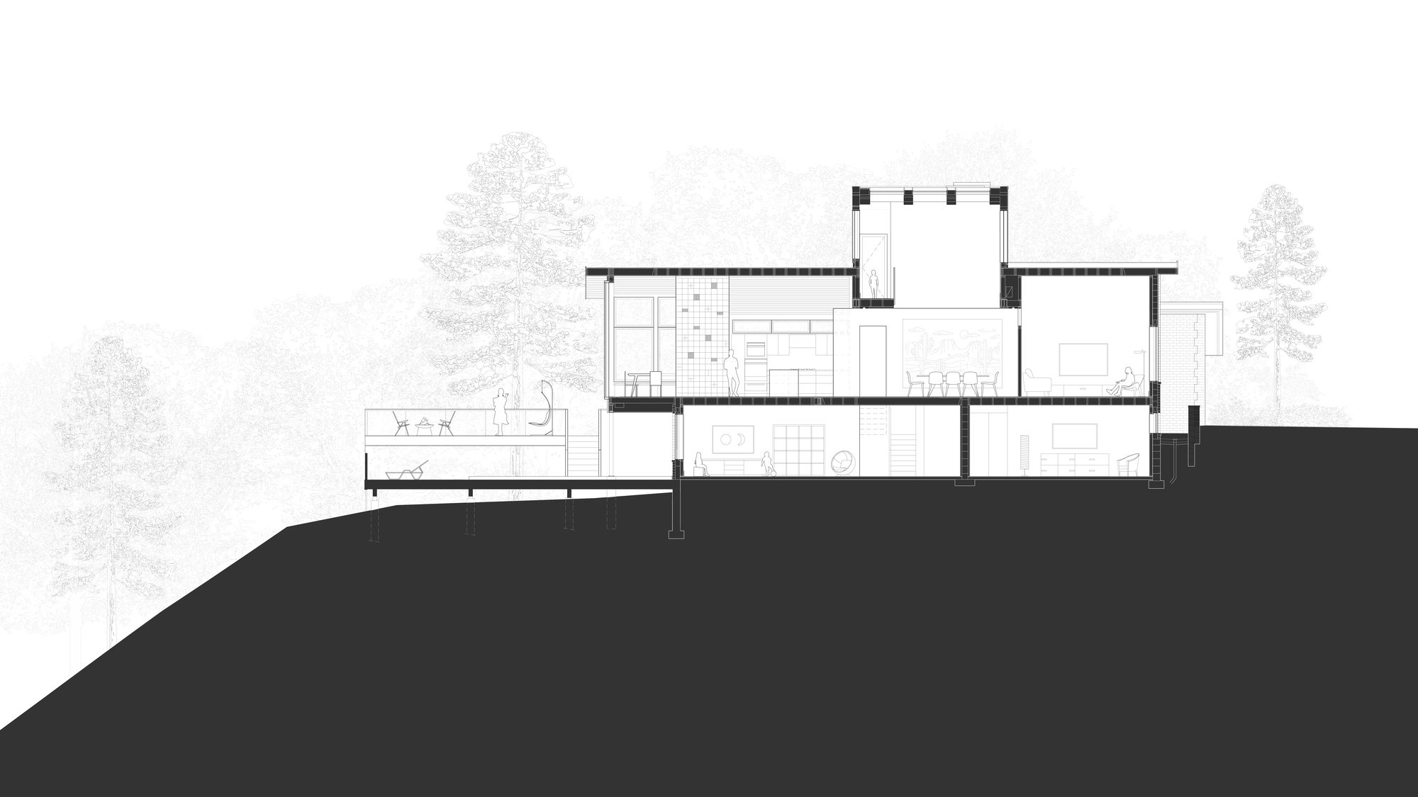 North York Ravine House