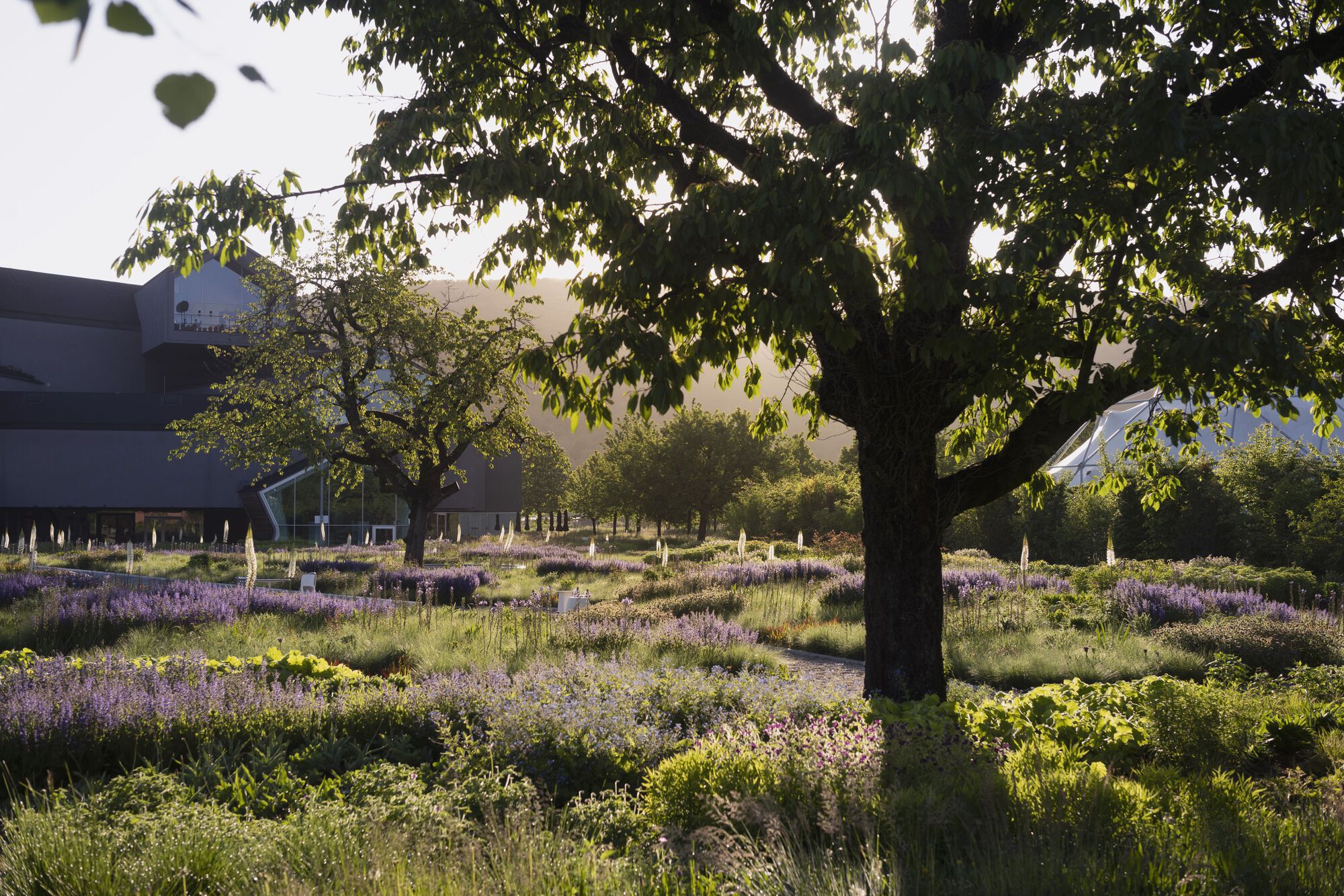 Vitra Oudolf Garden
