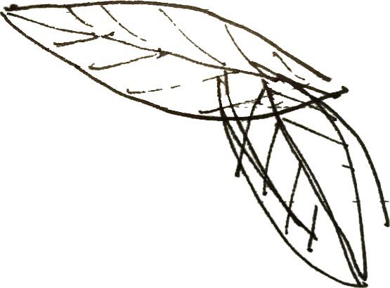 Four Public Pavilions