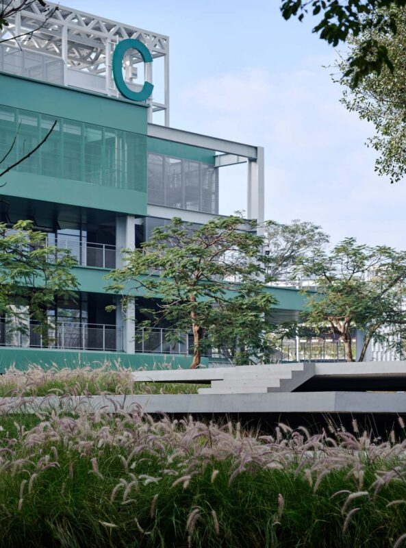 The Boxes of Ecology extends to the site. Image © ZY Architectural Photography4