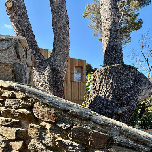 The Very Small Collective