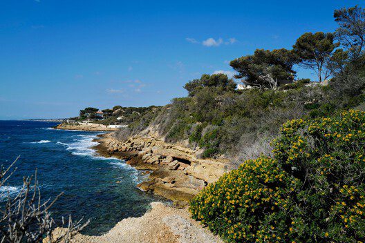 The Very Small Collective