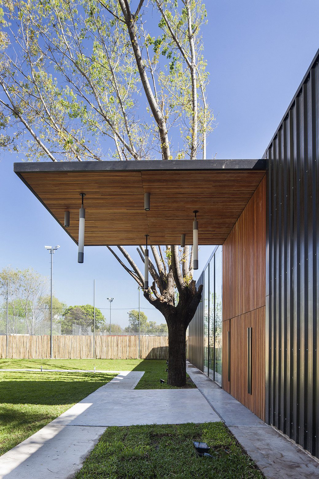 Sports Complex – Grün