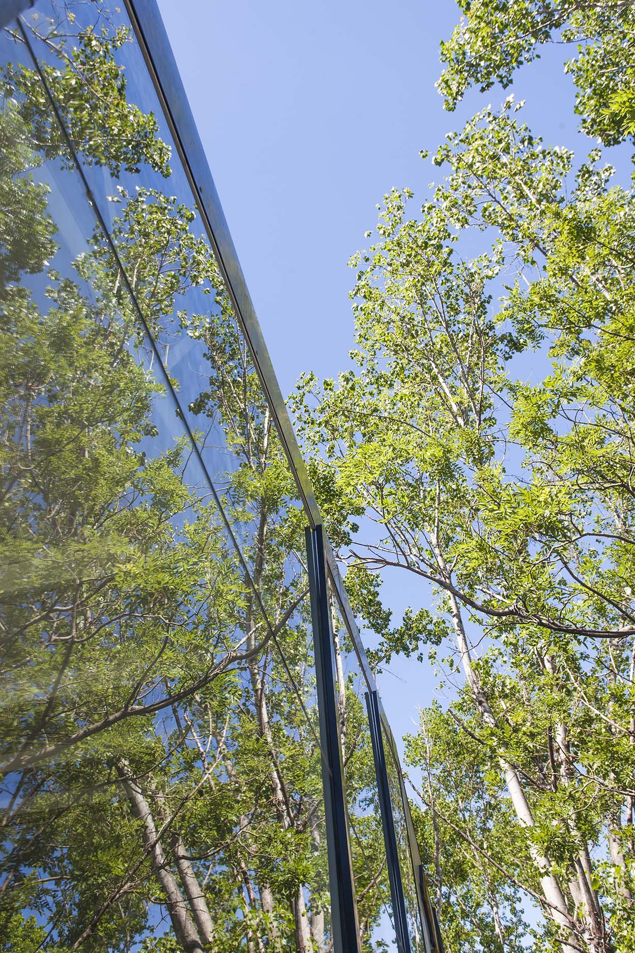 Sports Complex – Grün