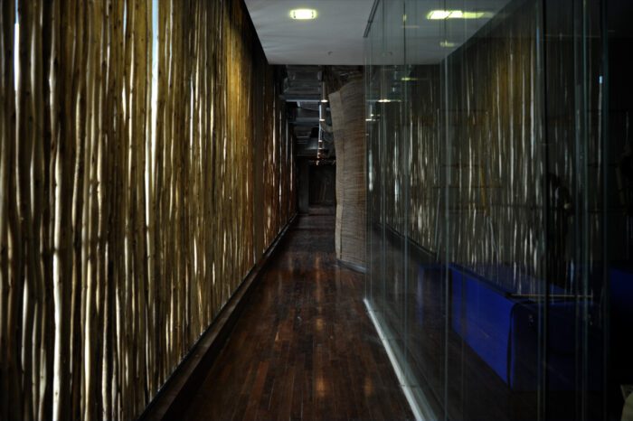 © Carlos Eguiguren1