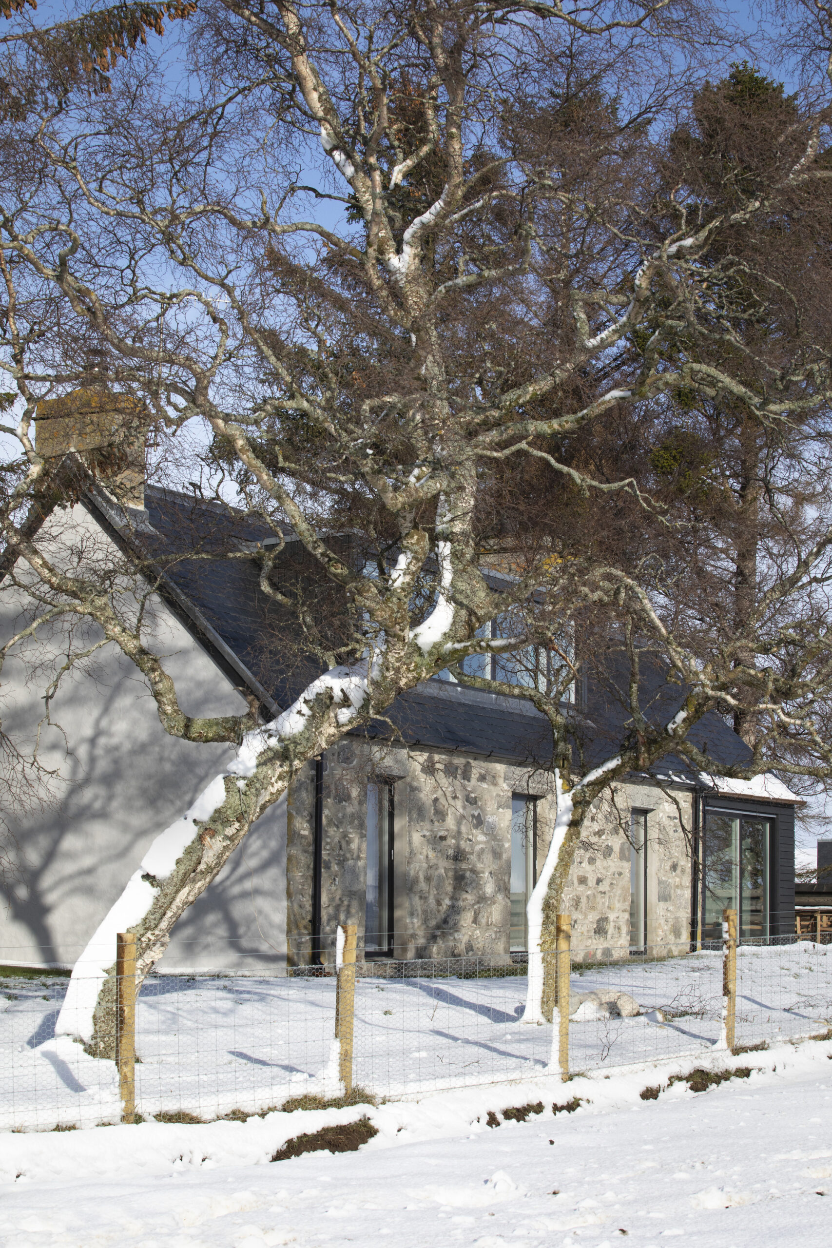 Strone of Glenbanchor