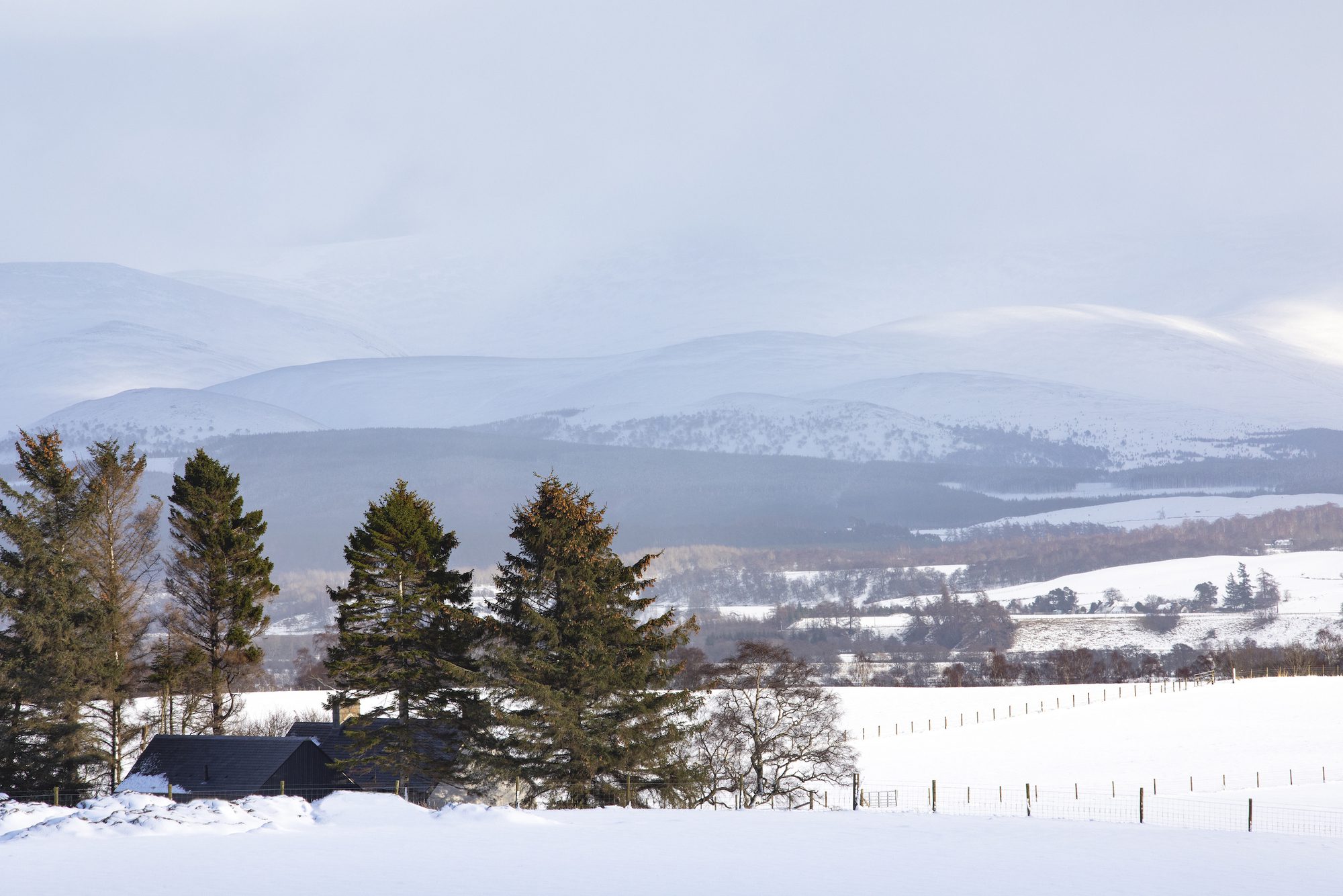 Strone of Glenbanchor