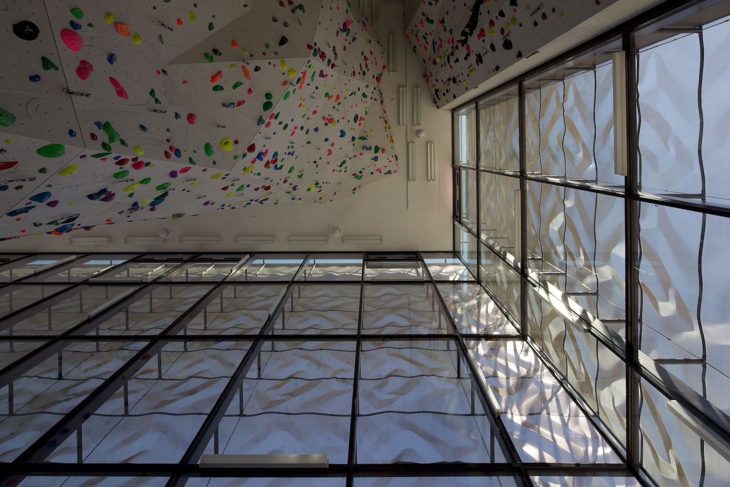 Indoor Rock Climbing