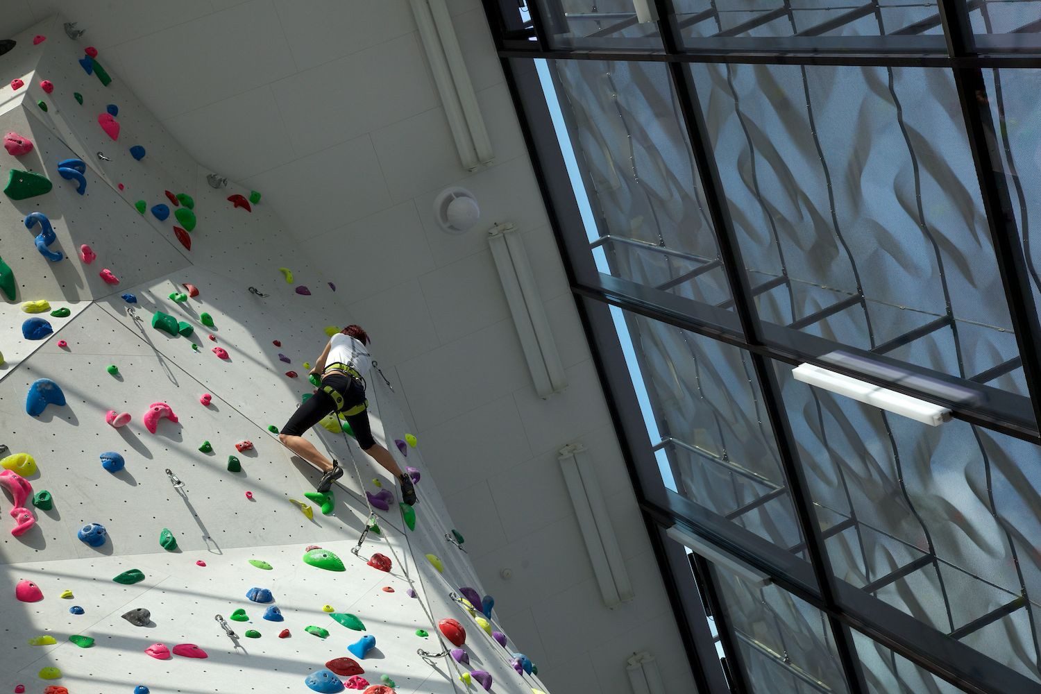 Indoor Rock Climbing
