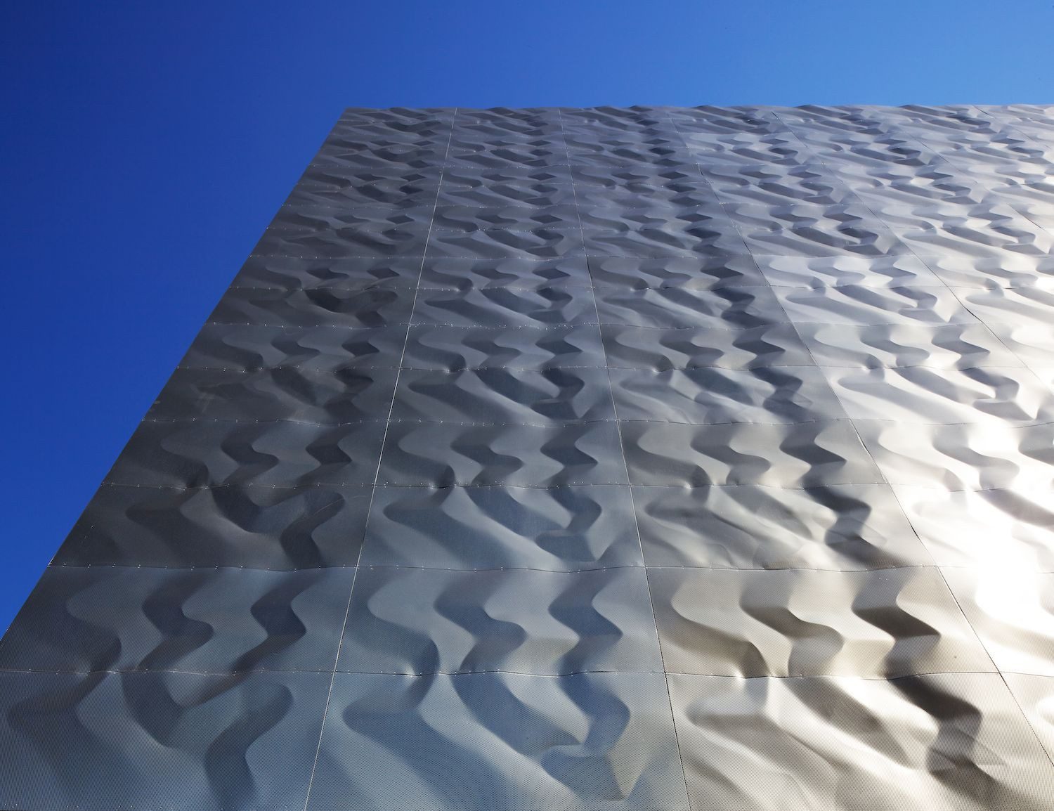 Indoor Rock Climbing