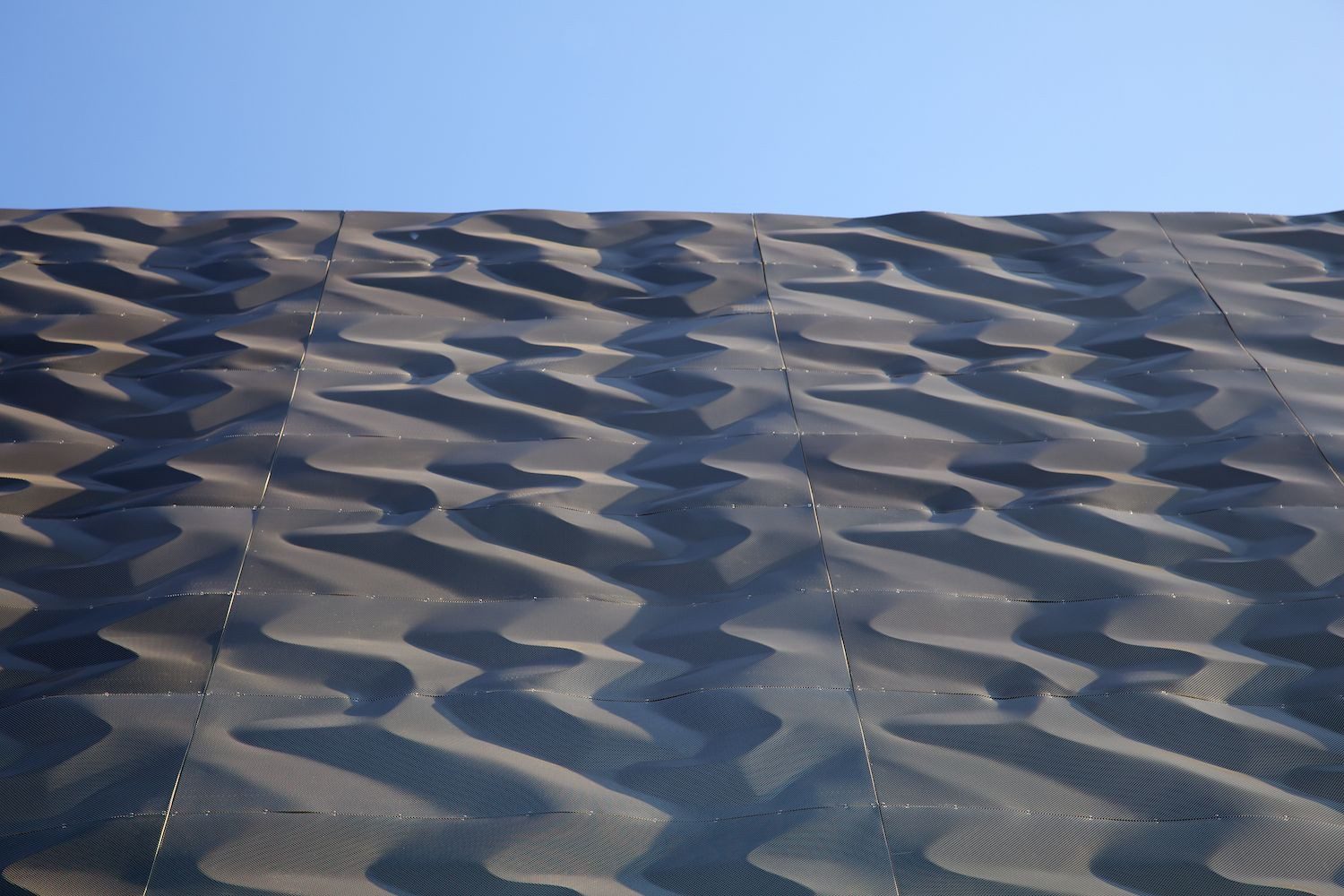 Indoor Rock Climbing