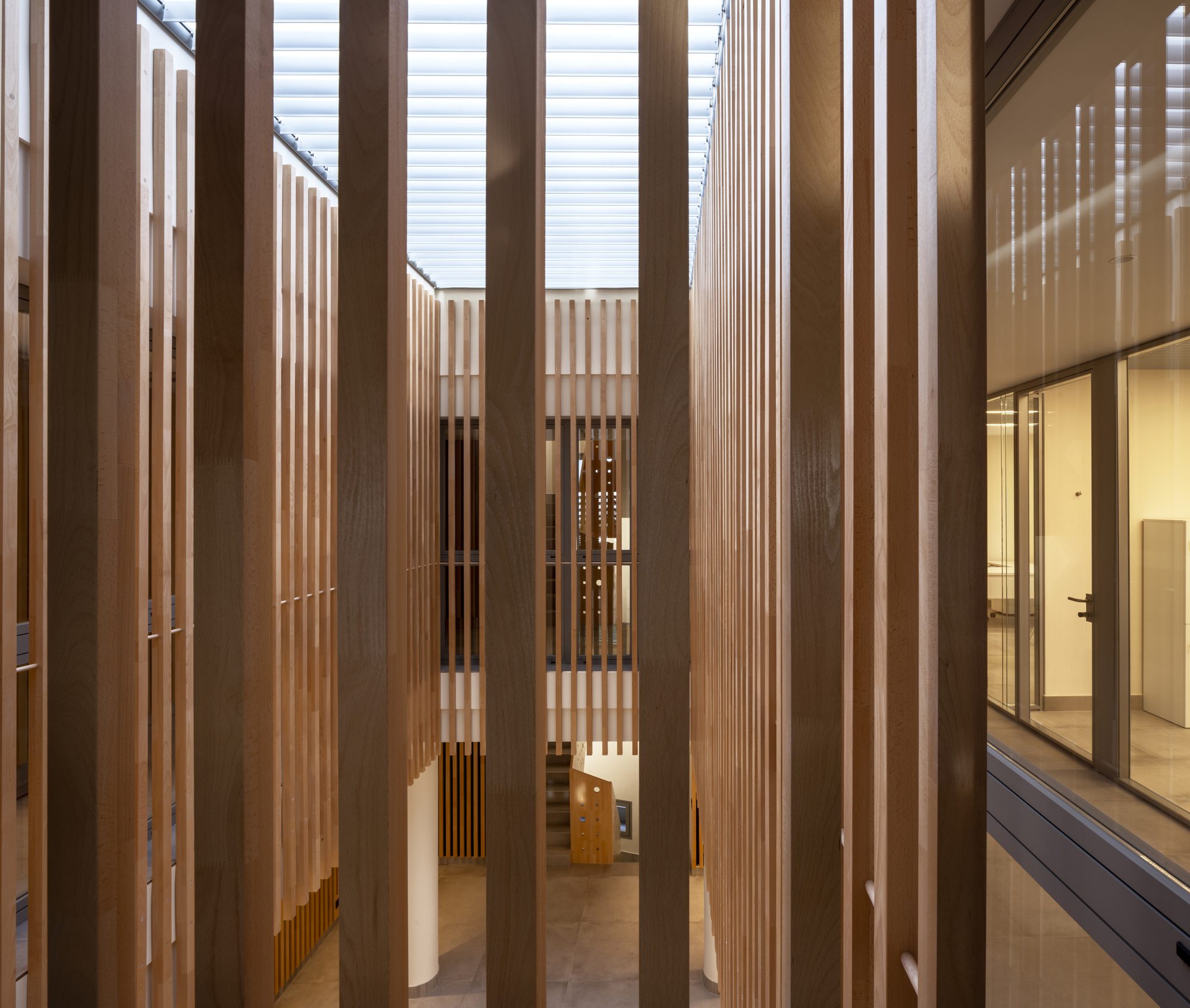 JJP Hospitalaria Office Renovation