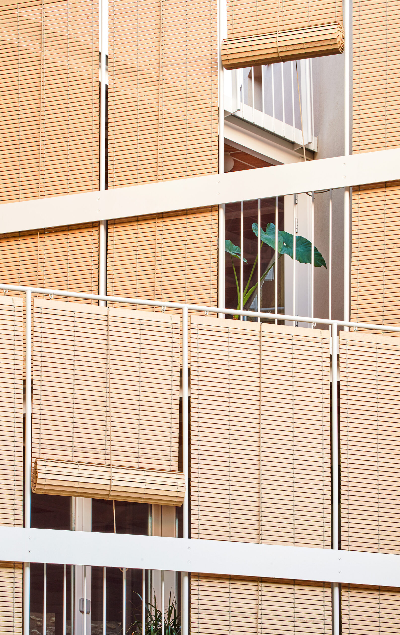 Renovation of a Village House