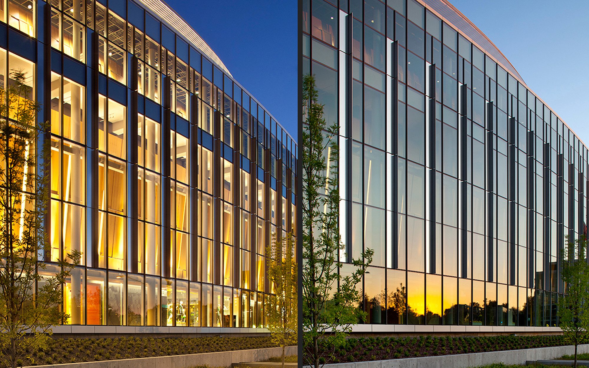 Matthew Knight Arena