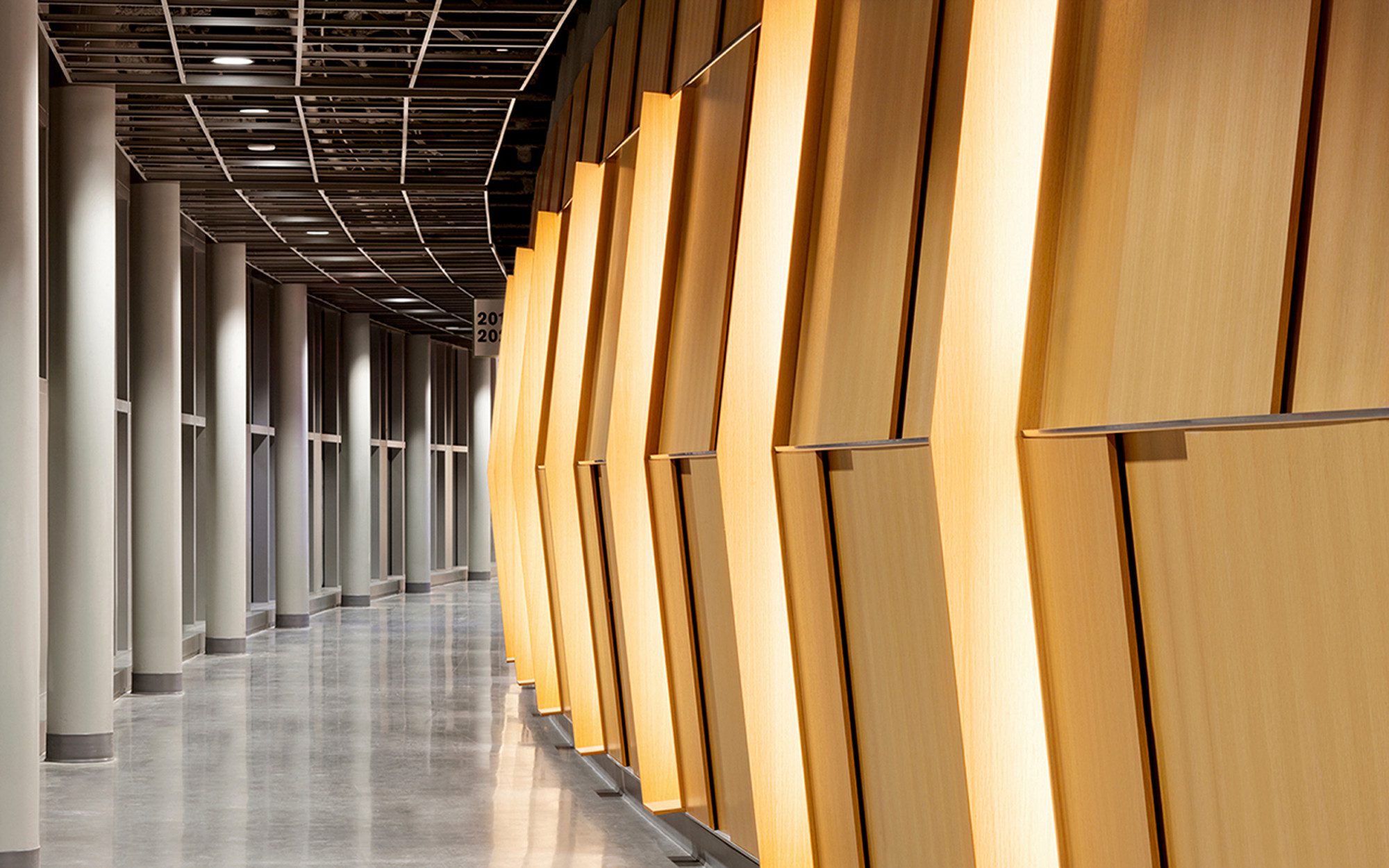 Matthew Knight Arena