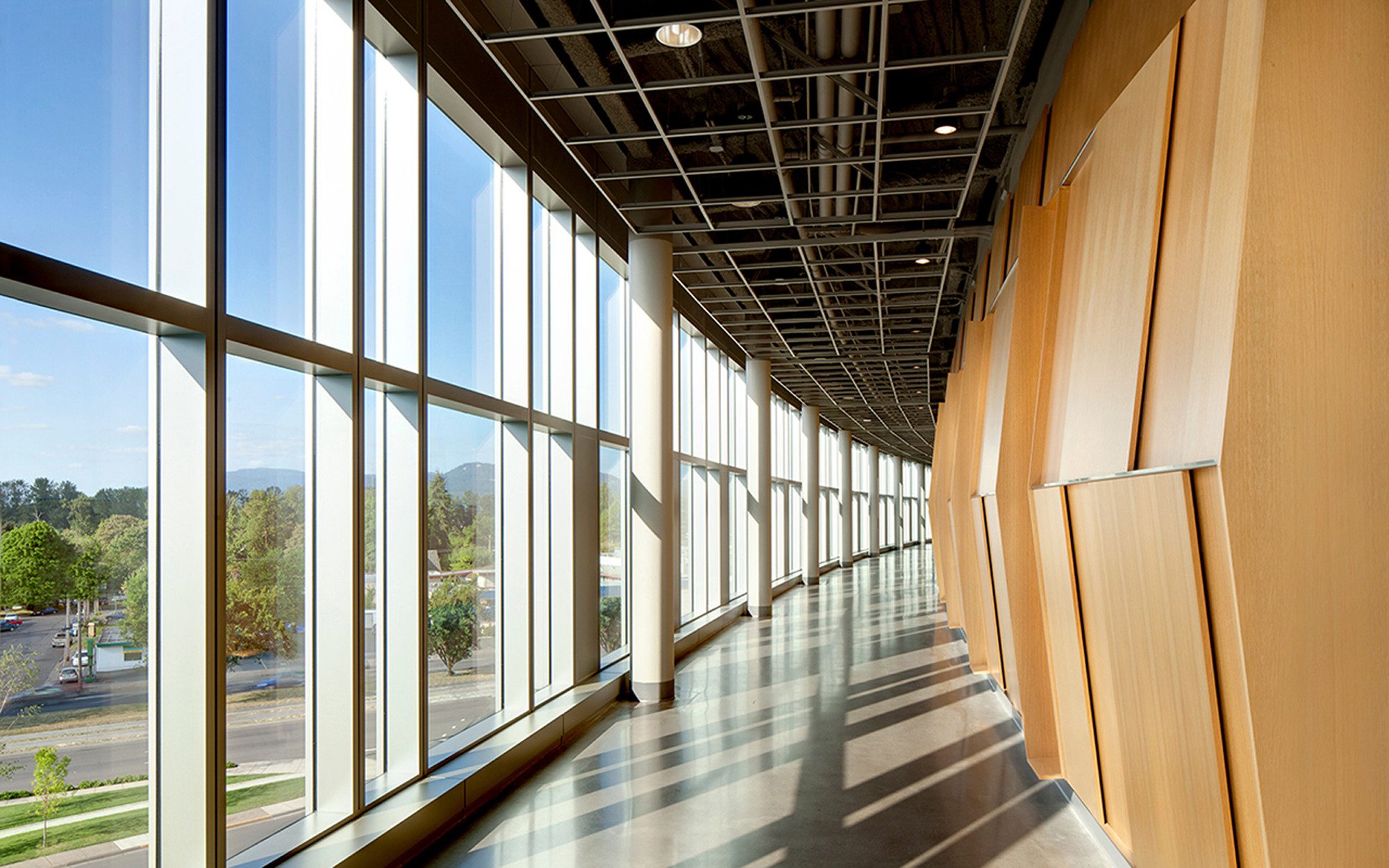 Matthew Knight Arena