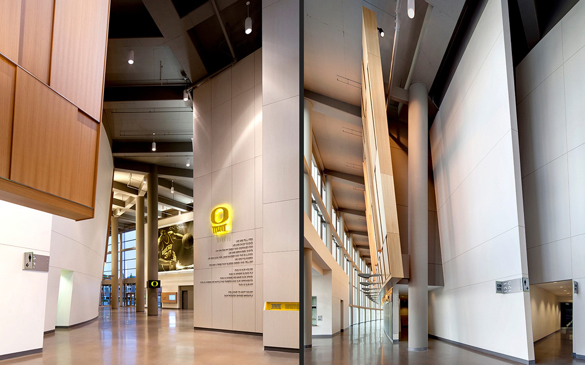 Matthew Knight Arena