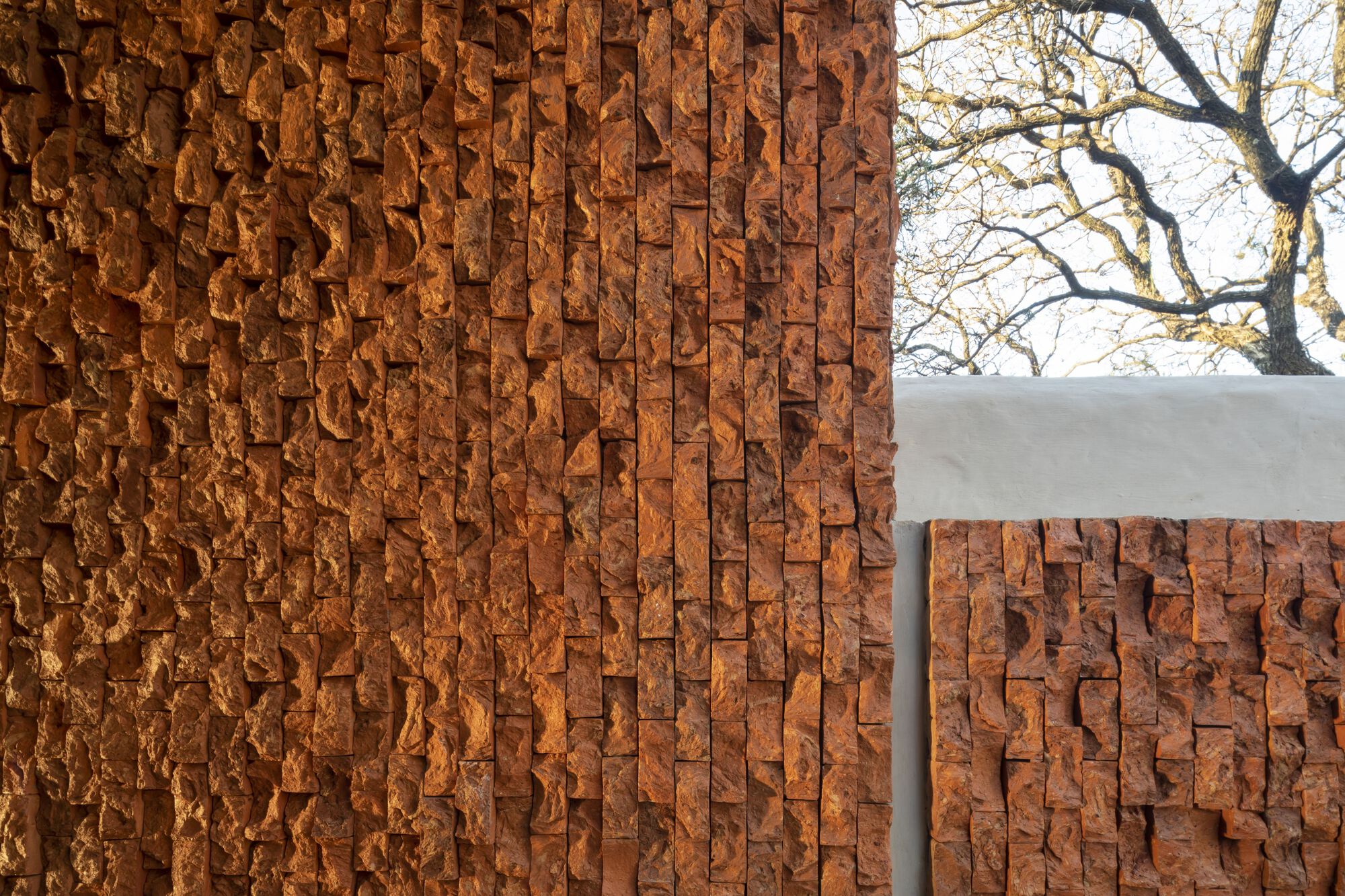 Alas Paraguayas House