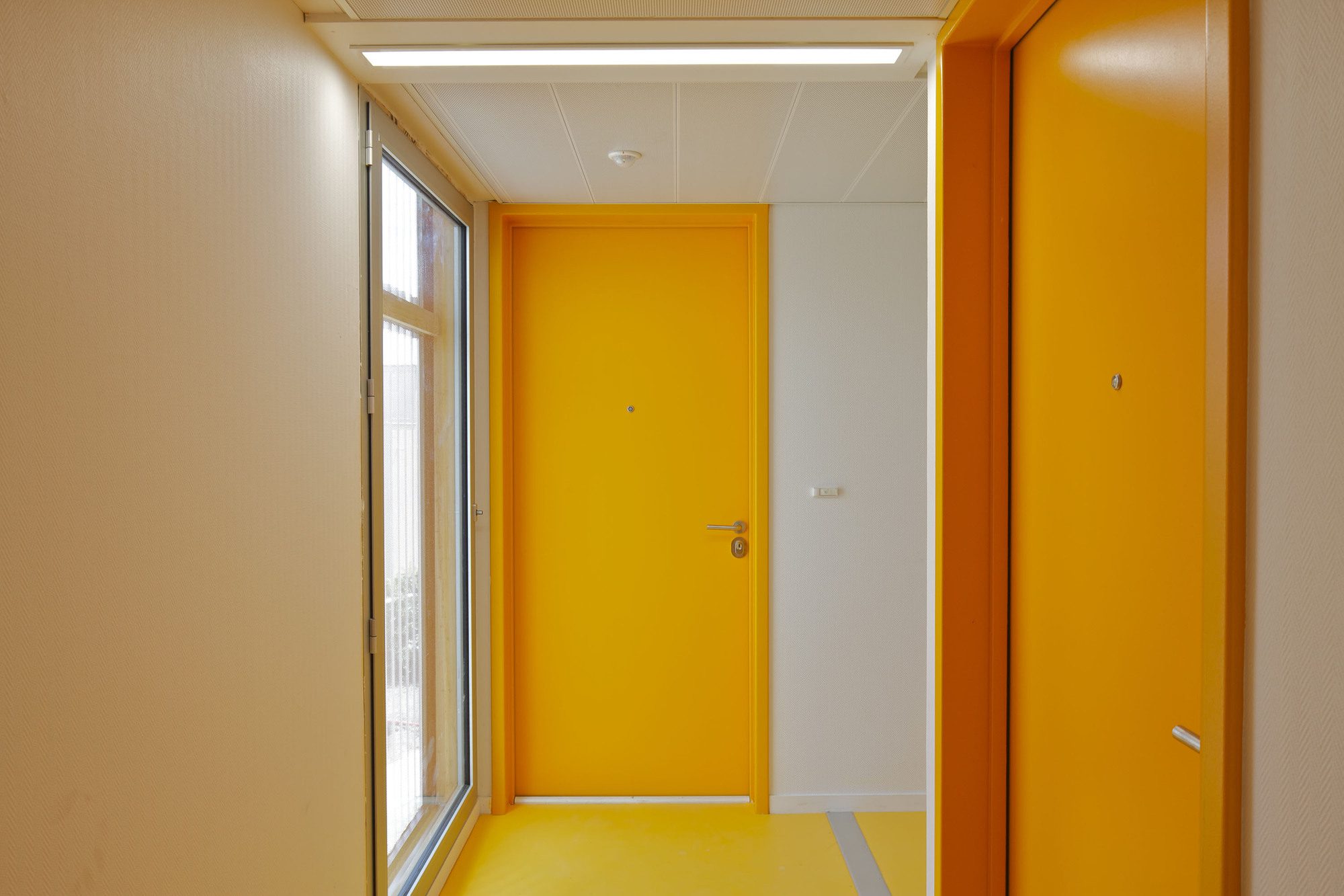 50 Modular Timber Apartments