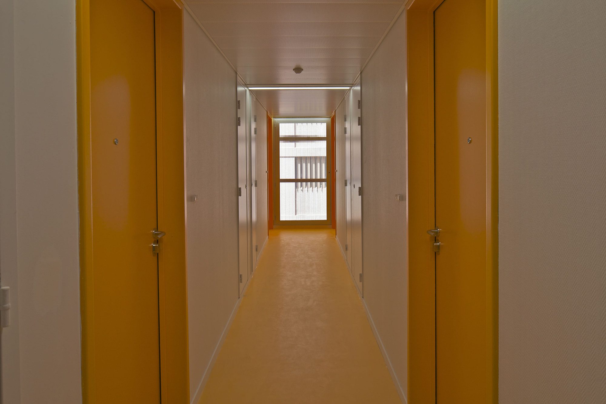 50 Modular Timber Apartments