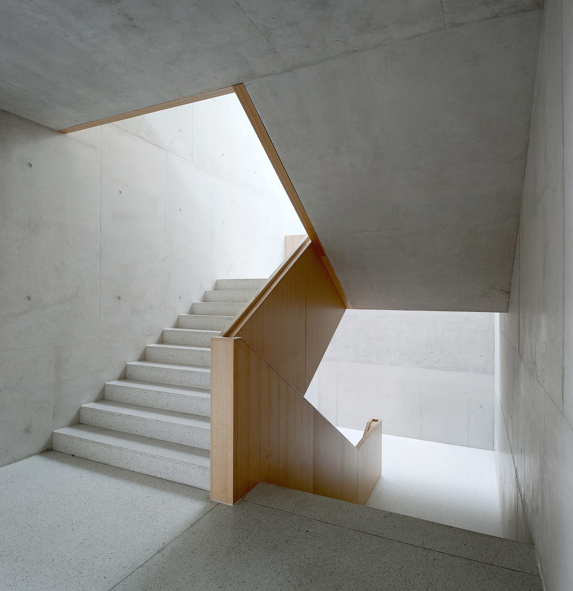 Multipurpose Sports Hall and Secondary School Collège du Léman