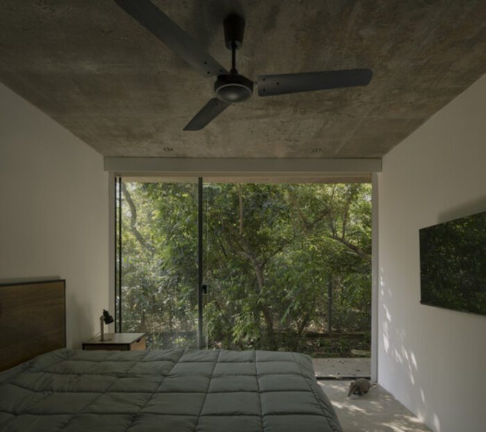 un bosque en la casa equipo de arquitectura 11 A Forest in the House