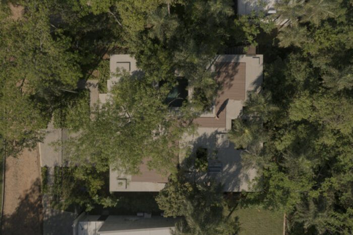 un bosque en la casa equipo de arquitectura 7 A Forest in the House