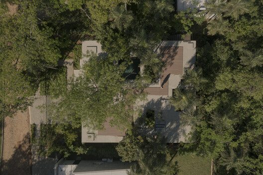 A Forest in the House