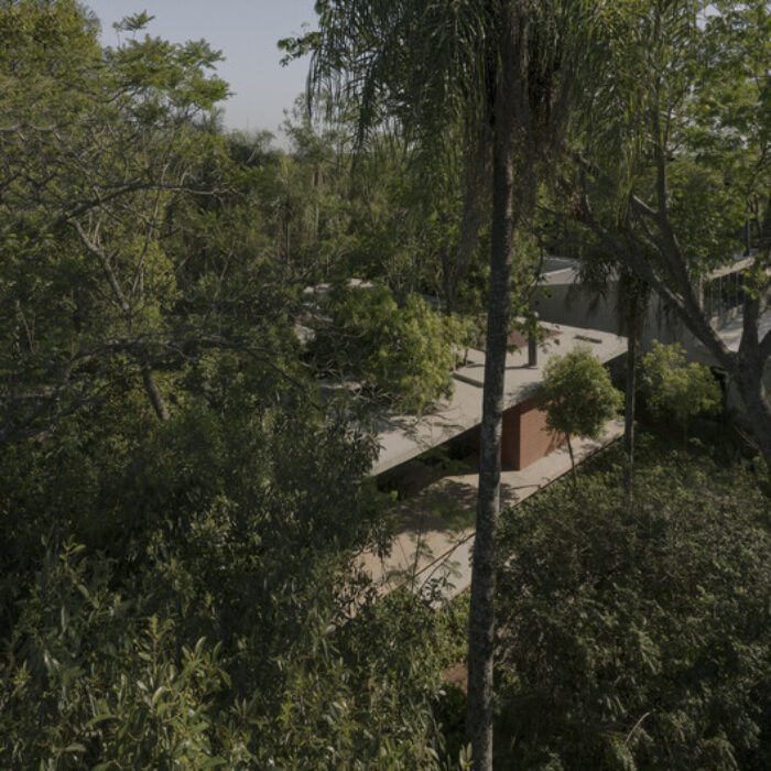 un bosque en la casa equipo de arquitectura 8 A Forest in the House