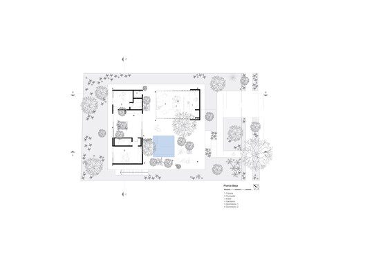 A Forest in the House