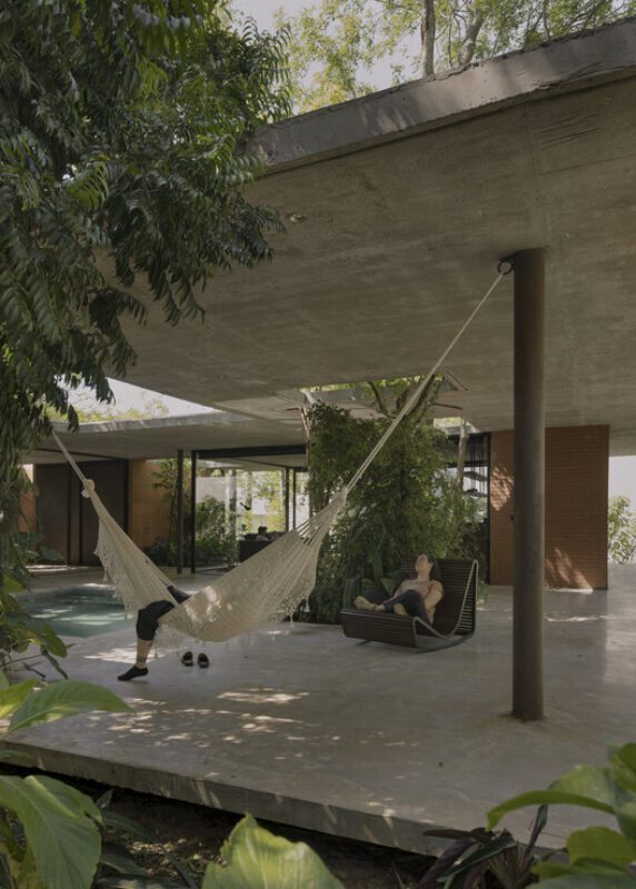 un bosque en la casa equipo de arquitectura 14 A Forest in the House