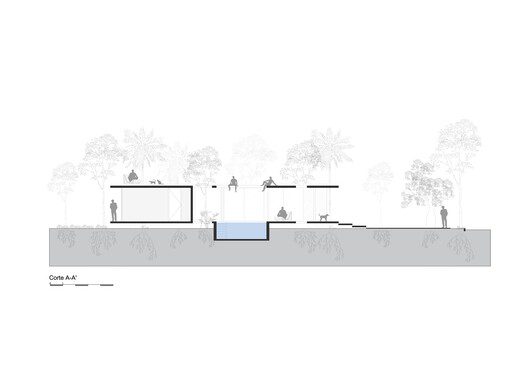 A Forest in the House