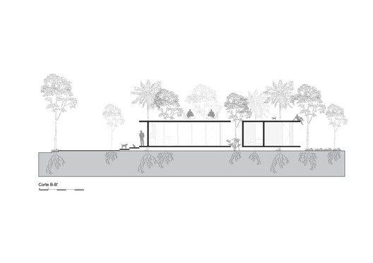 A Forest in the House