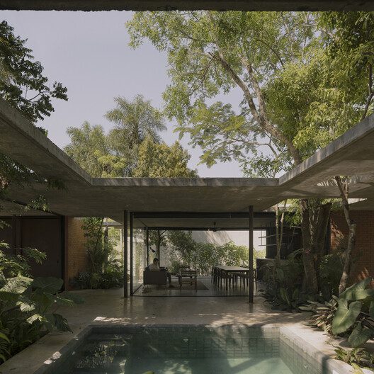 A Forest in the House